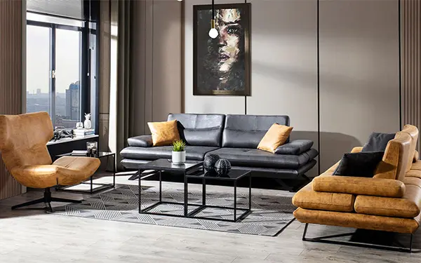 Yataklı Koltuk Takımları